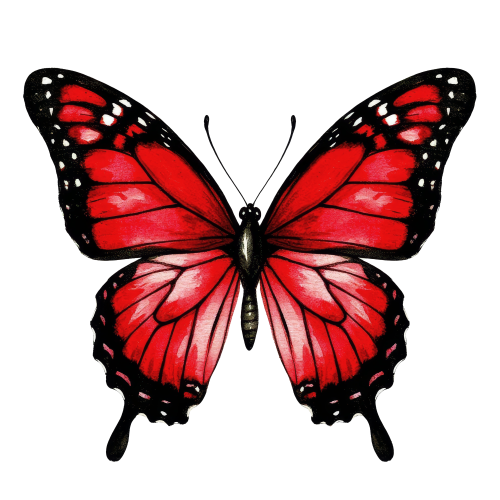 (s024-3B) Red Butterfly