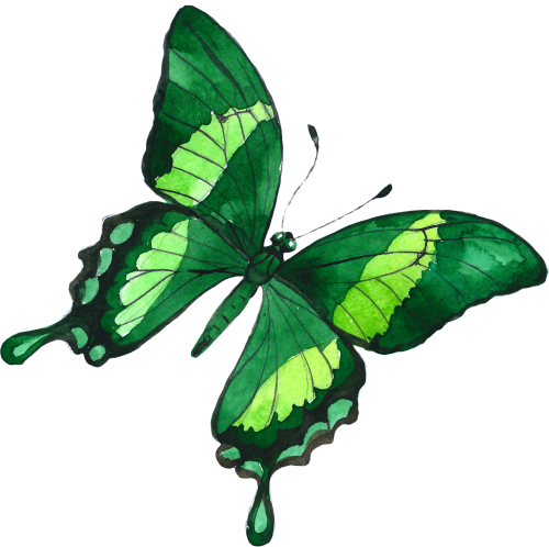 (s024-2C) Green Butterfly