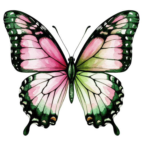 (s024-3C) Pink Green Butterfly