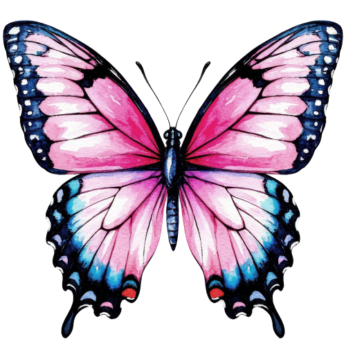 (s024-3D) Pink Blue Butterfly