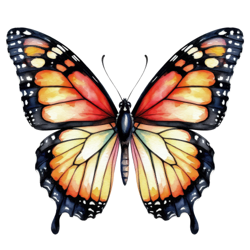 (s024-3E) Yellow Orange Butterfly