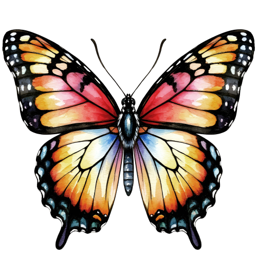 (s024-3F) Orange Butterfly