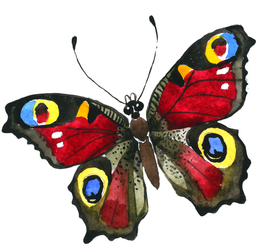 (s024-2H) Moth