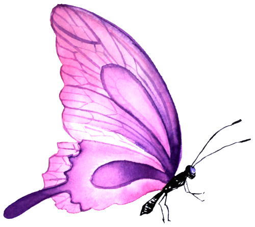 (s024-2O) Purple Butterfly