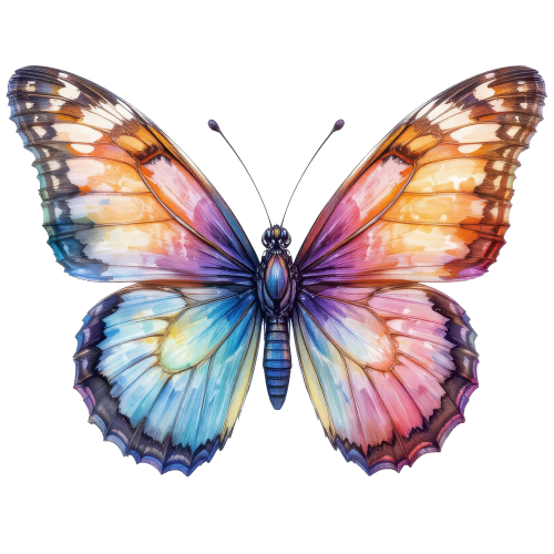 (s024-3P) Blue Pink Butterfly