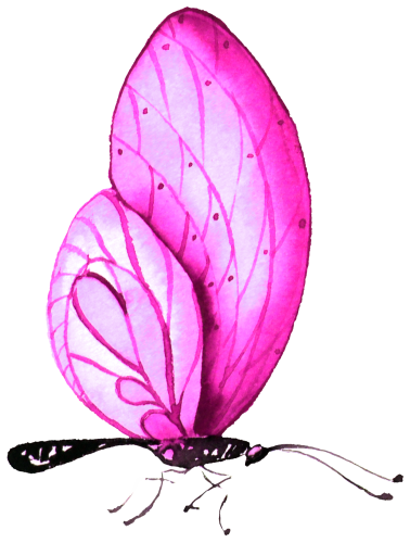 (s024-2Q)  Pink Butterfly