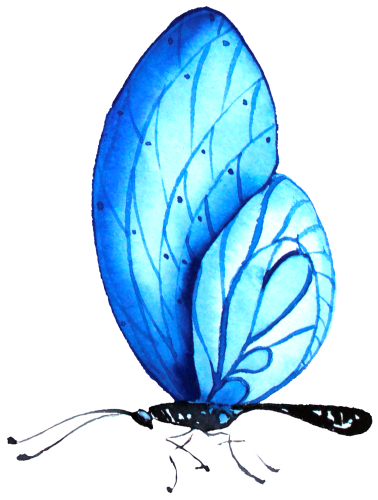 (s024-2R) Blue Butterfly
