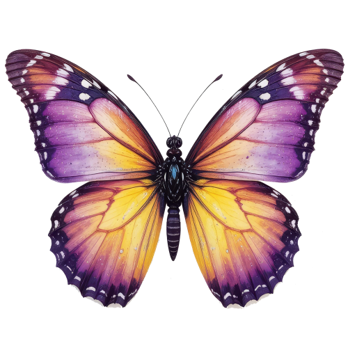 (s024-3R) Purple Yellow Butterfly