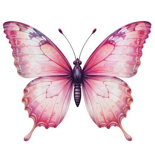 (s024-3T) Pink Butterfly