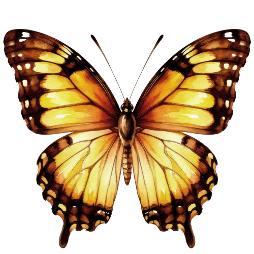 (s024-2X) Yellow Butterfly