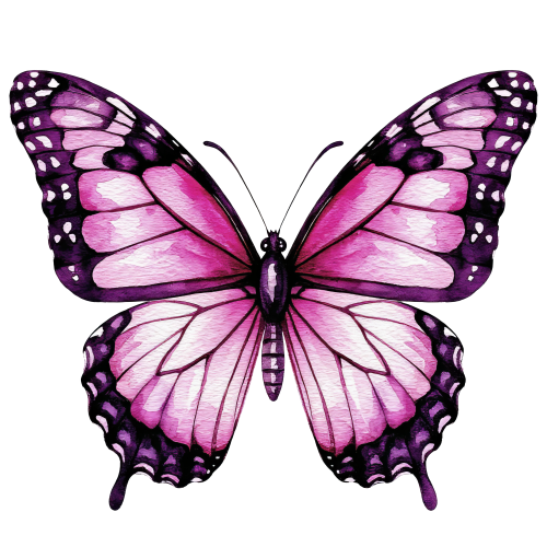 (s024-2Y)  Pink Butterfly