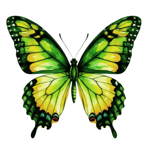 (s024-2Z)  Yellow Green Butterfly