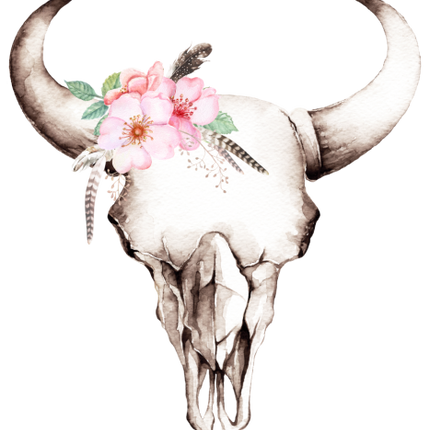 (s240-D) Cow Skull Pink Wild Rose