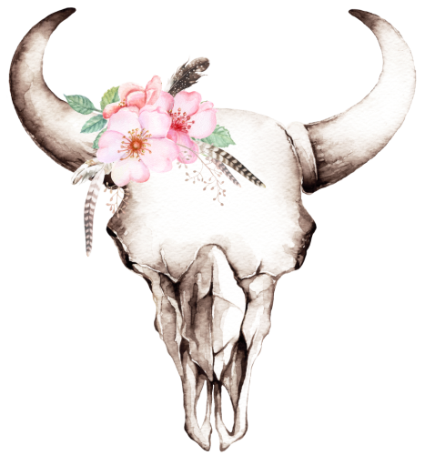 (s240-D) Cow Skull Pink Wild Rose