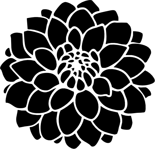 (241-01-G) Dahlia Dahlias Flower