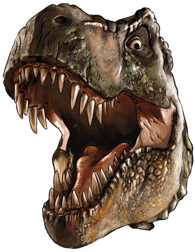 (s244-3-4C) Tyrannosaurs Rex Head