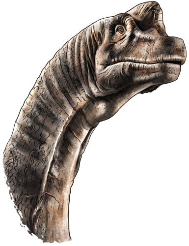 (s244-3-4D) Brontosaurus Head
