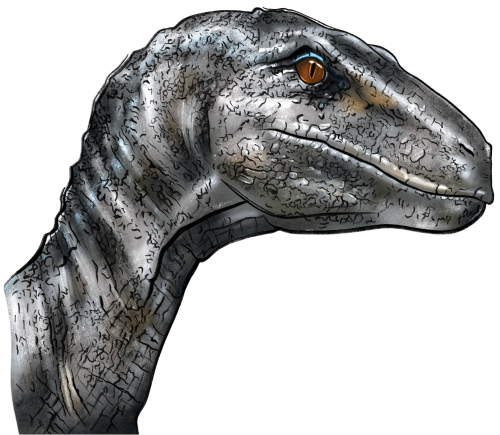 (s244-3-4G) Velociraptor Head