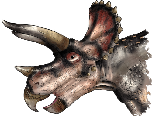 (s244-3-4J) Dinosaur Head