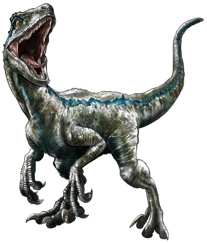 (s244-3-3T) Velociraptor