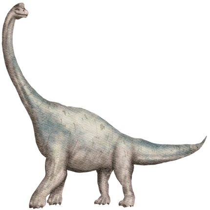 (244-03-2X) Dinosaur