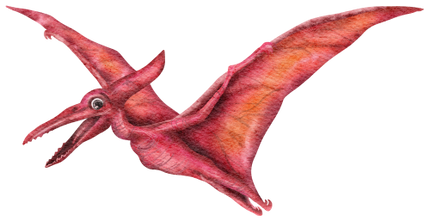 (244-03-2Y) Dinosaur