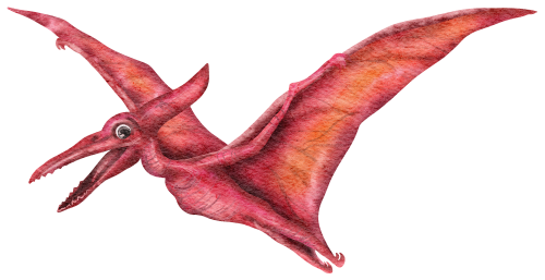 (s244-3-2Y) Dinosaur