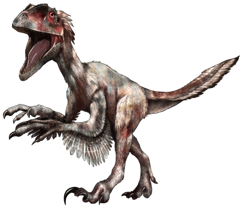 (s244-3-3Y) Dinosaur