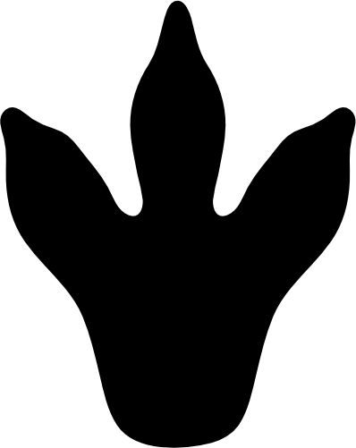 (244-01-4A) Dinosaur Dino Footprint