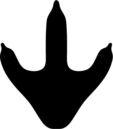 (244-01-4B) Dinosaur Dino Footprint