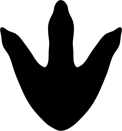 (244-01-4D) Dinosaur Dino Footprint