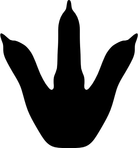(244-01-4E) Dinosaur Dino Footprint