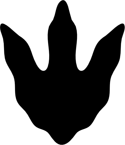 (244-01-4F) Dinosaur Dino Footprint