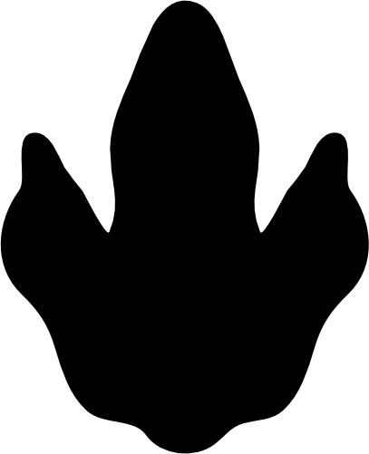 (244-01-3S) Dinosaur Dino Footprint