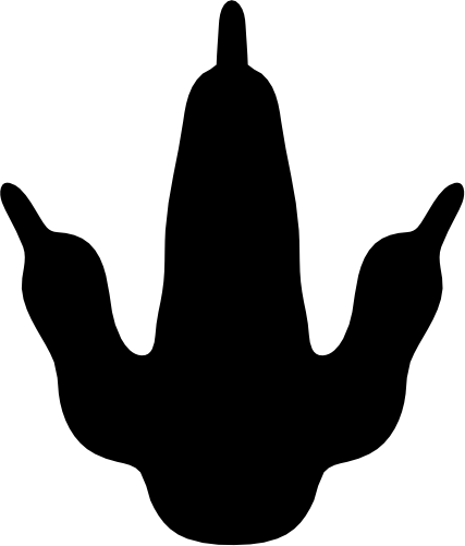 (244-01-3T) Dinosaur Dino Footprint