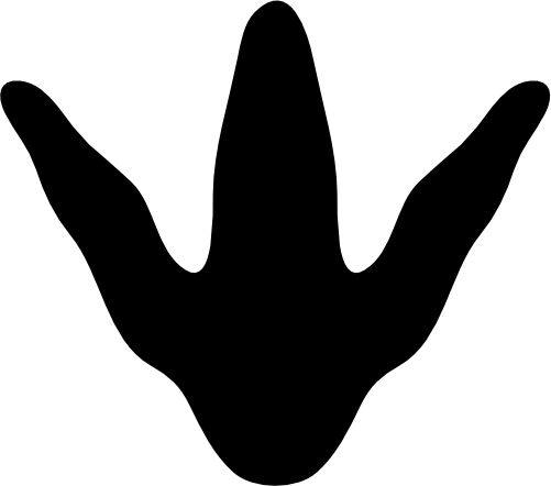 (244-01-3U) Dinosaur Dino Footprint
