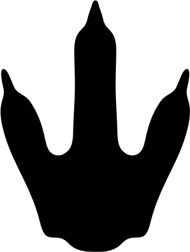 (s244-1-3V) Dinosaur Dino Footprint