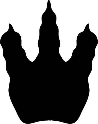 (244-01-3W) Dinosaur Dino Footprint