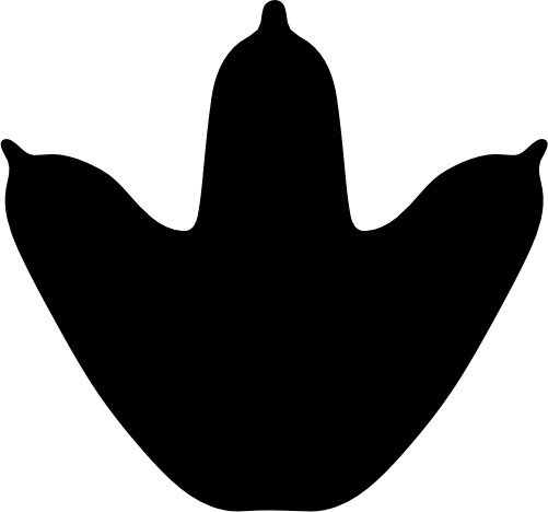 (244-01-3Y) Dinosaur Dino Footprint