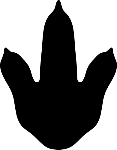 (s244-1-3Z) Dinosaur Dino Footprint