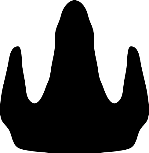 (244-01-3X) Dinosaur Dino Footprint