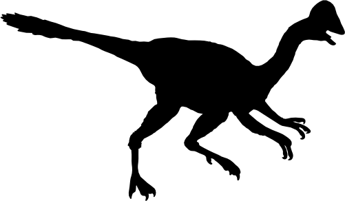 (s244-1-1D) Dinosaur Dino Silhouette