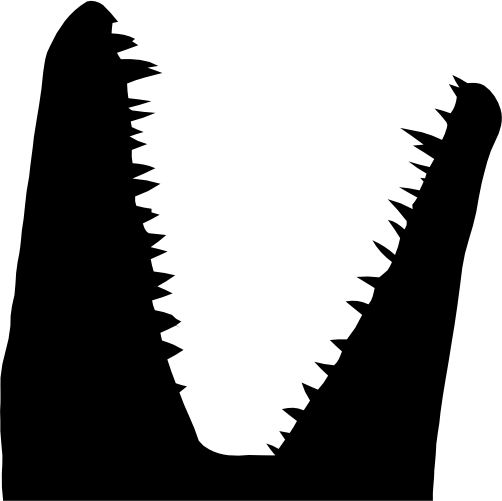(s244-1-2L) Dinosaur Dino Silhouette