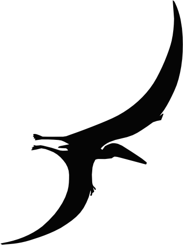 (s244-1-1N) Dinosaur Dino Silhouette
