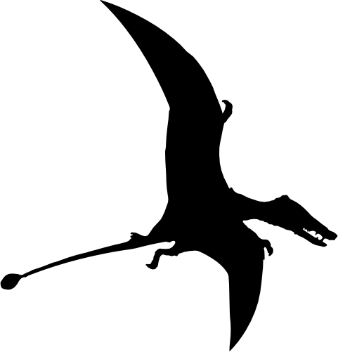 (s244-1-1O) Dinosaur Dino Silhouette