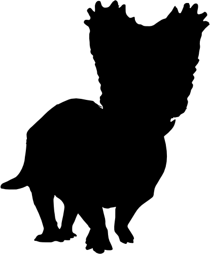 (s244-1-1S) Dinosaur Dino Silhouette