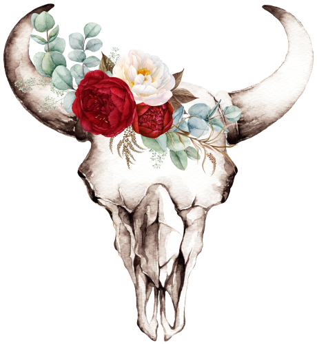 (s249-K) Cow Skull Red White Roses
