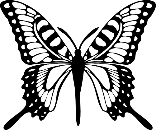 (s024-3-1B) Butterflies Butterfly