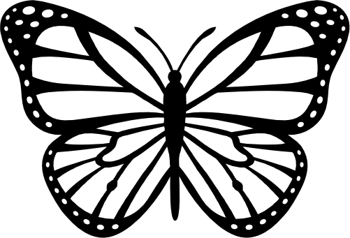 (s024-3-1C) Butterfly