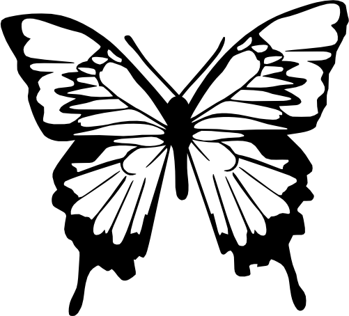 (s024-3-1D) Butterfly
